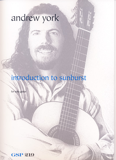 Introduction to Sunburst