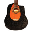 Guitar Protection
