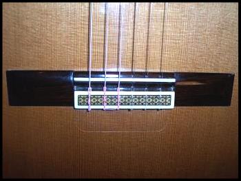 Rosette Tie Guard, Static Cling Protector