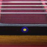 Rosette "BlueDots Gold" Fret Markers (Two Color), pack of 9 dots