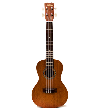 Cordoba Ukulele UP110 all-in-one Starter Pack