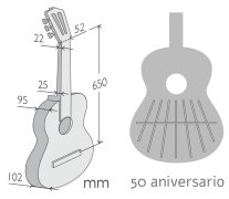 Alhambra 8P-US Classical Guitar, Solid Wood Top and Sides, Concert