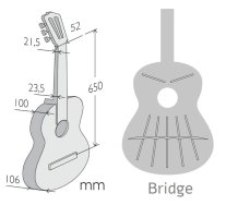 Alhambra 9P-US Classical Guitar, Solid Wood Top and Sides, Concert