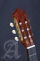 Alhambra Linea Profesional Classical Guitar, Cedar or Solid Spruce Top