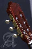 Alhambra Linea Profesional Classical Guitar, Cedar or Solid Spruce Top