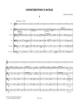 Andrei | Concertino facile for guitar and string orchestra