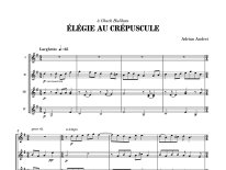 Andrei | Elegie au crepuscule for 4 guitars