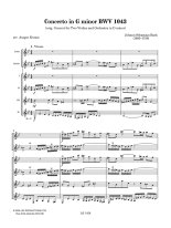 Bach | Concerto in G minor BWV 1043 for 6 guitars