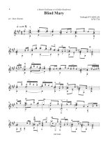 Bataini | Musique celtique for solo guitar