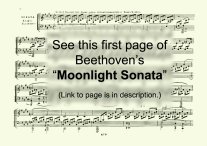 Beethoven piano sonata op. 27 no. 2 (Moonlight Sonata) - Paperbound