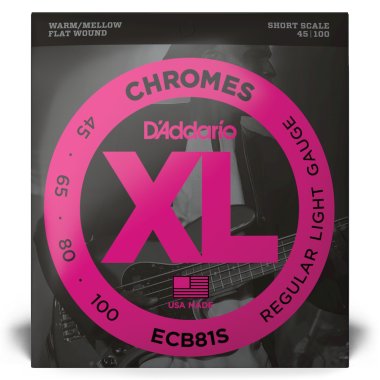 Blemished Sale Item | D'Addario ECB81S Flatwound Regular Light (45-100) Full Set