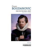 Bogdanovic | One for the Road, John? (Udri brigu na veselje)- solo gui