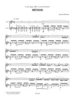 Boutros | Metisse for guitar & violin