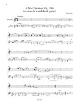 Braid | 10 Eccentric Inventions for mandolin and guitar
