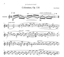 Braid | Coloratura for solo mandolin