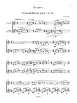 Braid | Insistence, Op. 96 for guitar & mandolin