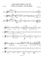 Braid | Light Without Shadow, Op. 68a for guitar in chamber music