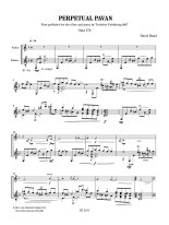 Braid | Perpetual Pavan for guitar & violin