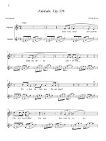 Braid | Second book of mandolin songs for mandolin and voice