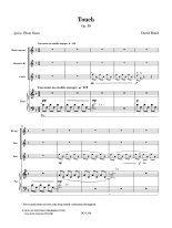 Braid | Touch Op. 59 for Chamber music and guitar