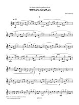 Braid | Two Cadenzas for solo mandolin