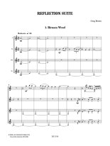 Brown | Reflection Suite for 4 guitars