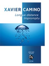 Camino | Longue distance Improptu for solo guitar