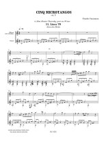 Camisassa | Cinq microtangos, vol. 3 for guitar and flute