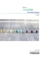 Cooper | Precious Stones for 4 guitars