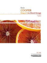 Cooper | Sting of the Blood Orange for 4 guitars
