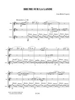 Coquery | Brume sur la lande for guitar, flute & violin