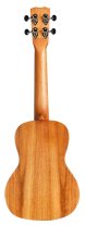 Cordoba Acacia 25 Series Concert, Tenor or Soprano Ukulele w/ Gig Bag