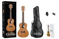 Cordoba C5-CE Cedar and Mahogany Classical Nylon Guitar with pickup
