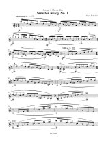 Delvizio | Four Sinister Studies for solo guitar
