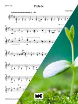 Diaz | Prelude for solo guitar, Level 5 - PDF Download