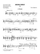 Dusan Bogdanovic | Seeing Dimly solo guitar