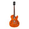 Electric Guitars