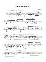 Erni | The Lost Toccata for solo guitar