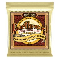 Ernie Ball 2013 Earthwood 80/20 Bronze 12-String, 10-48