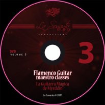 Flamenco Guitar Maestro Classes Vol. 3 BK/DVD