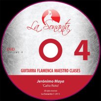 Flamenco Guitar Maestro Classes Vol. 4 BK/DVD