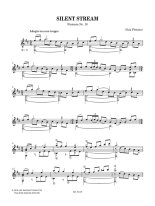 Fletcher | Silent Stream for solo guitar