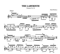 Fletcher | The Labyrinth: Fantasia No. 14 for solo guitar