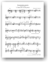 Fowler | Shadowlands for solo guitar