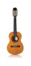 Fractional / Travel Guitars
