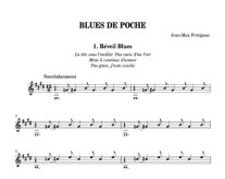Frezignac | Blues de poche for solo guitar