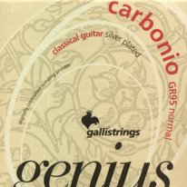 Galli Genius Carbonio - 1st string (e) .024