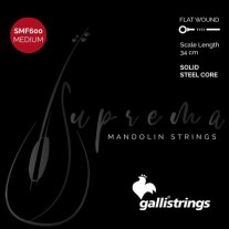Galli SMF600 Mandolin Strings, Medium Gauge, Loop End