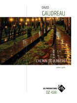 Gaudreau | Chemin de lumiere for solo guitar