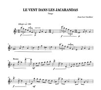 Gauthier | Le vent dans les jacarandas for solo guitar